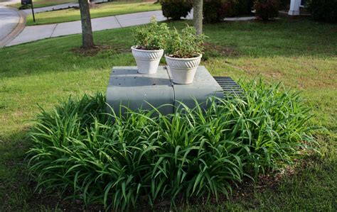 decoration near yard electric boxes|planting around utility box.